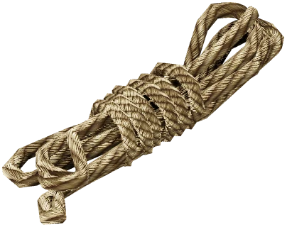 Rope, le modèle du jeu